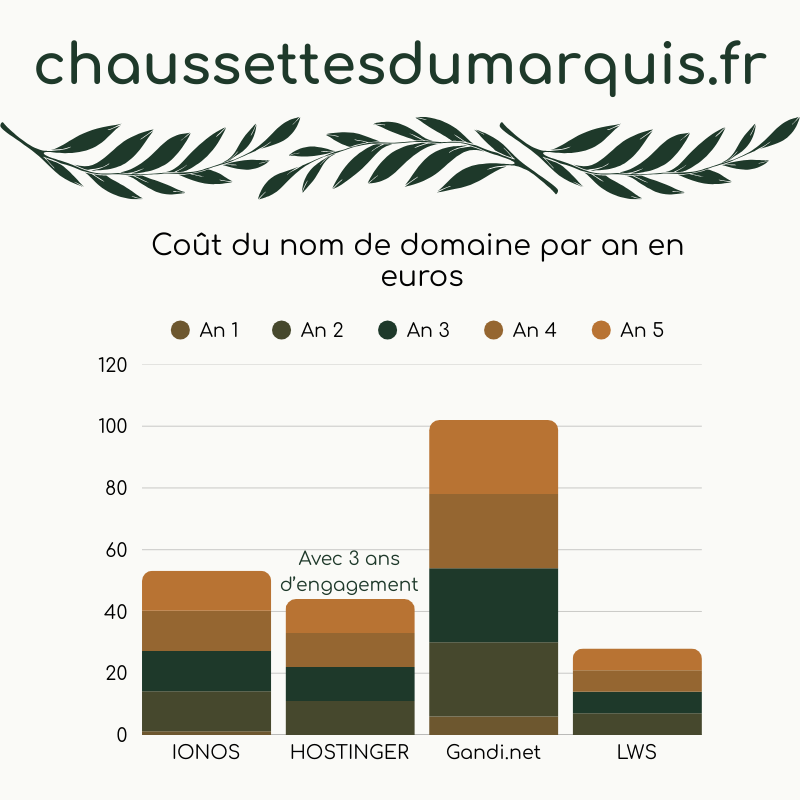 coût nom de domaine : Graphique détallant les coûts sur 5 ans pour 4 exemples, les prix varient beaucoup