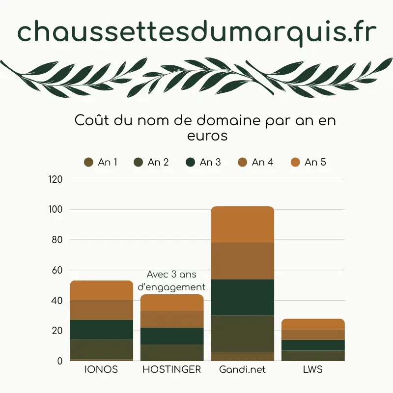 coût nom de domaine : Graphique détallant les coûts sur 5 ans pour 4 exemples, les prix varient beaucoup