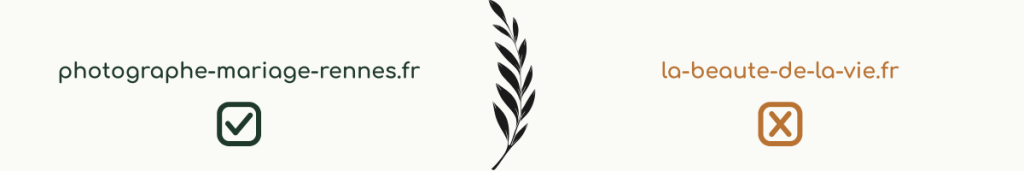 exemple nom de domaine non explicite : la-beaute-de-la-vie.fr