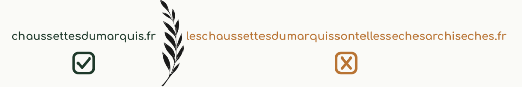 exemple nom de domaine trop long : leschaussettesdumarquissontellessechesarchiseches.fr
