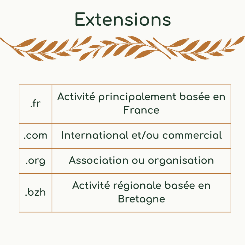 exemples extensions nom de domaine : .fr pour une activité en France, .com pour une activité internationale ou commerciale, .org pour une association ou une organisation, .bzh pour une activité régionale basée en Bretagne