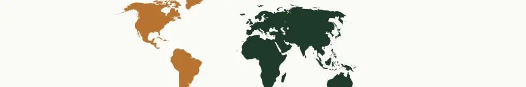 carte monde colorée